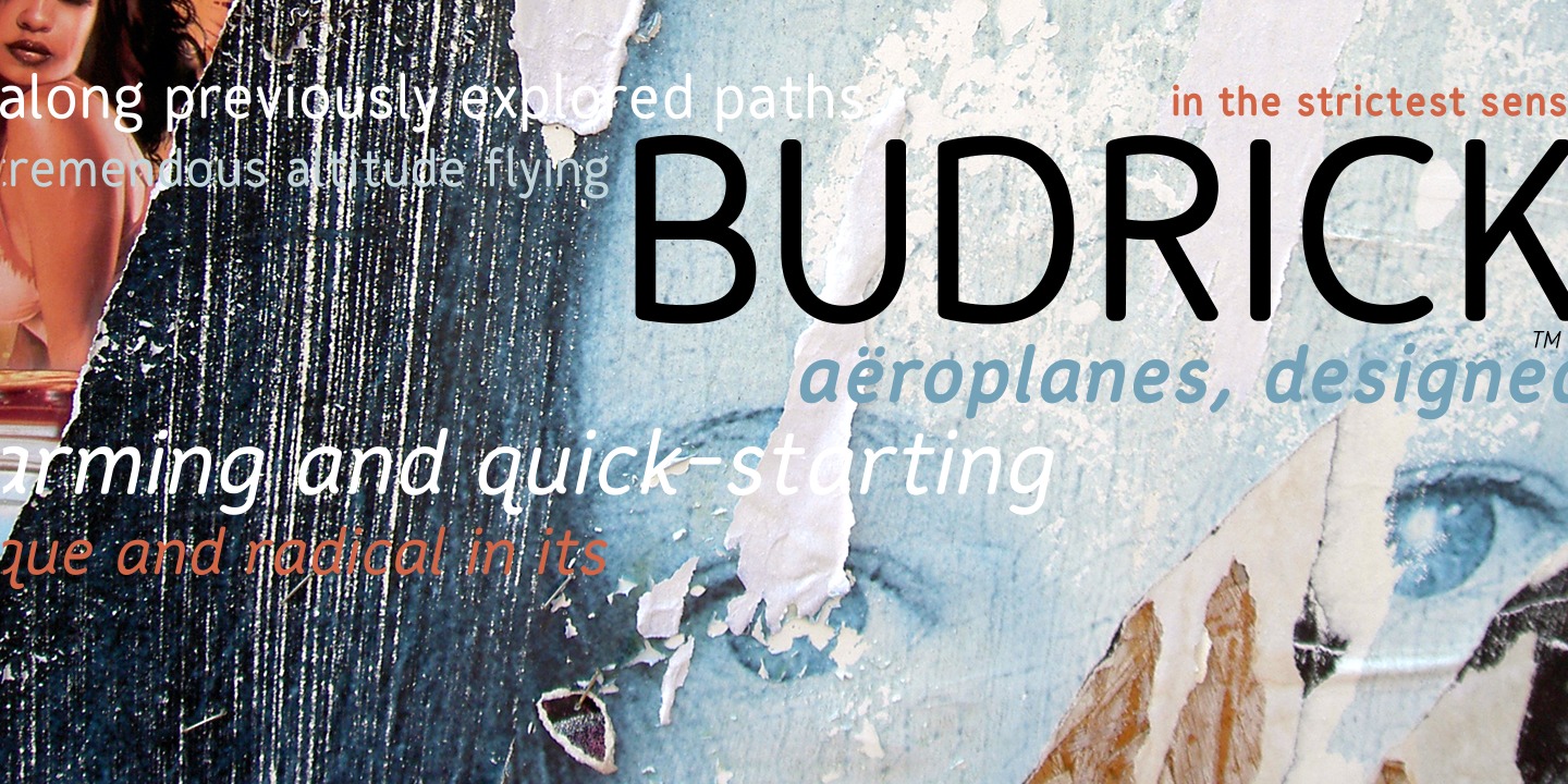 Ejemplo de fuente Budrick BB Italic